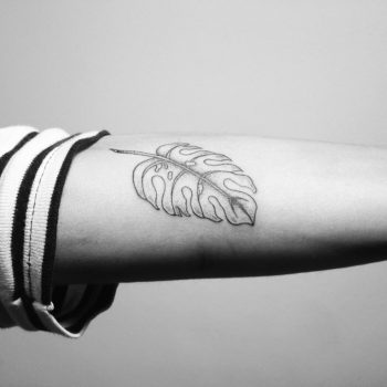 Minimalist black and grey Monstera leaf