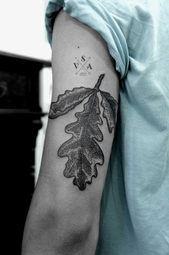 Oak leaves by Andrei Svetov