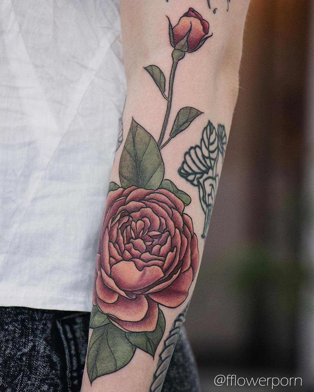 Peachy english rose tattoo