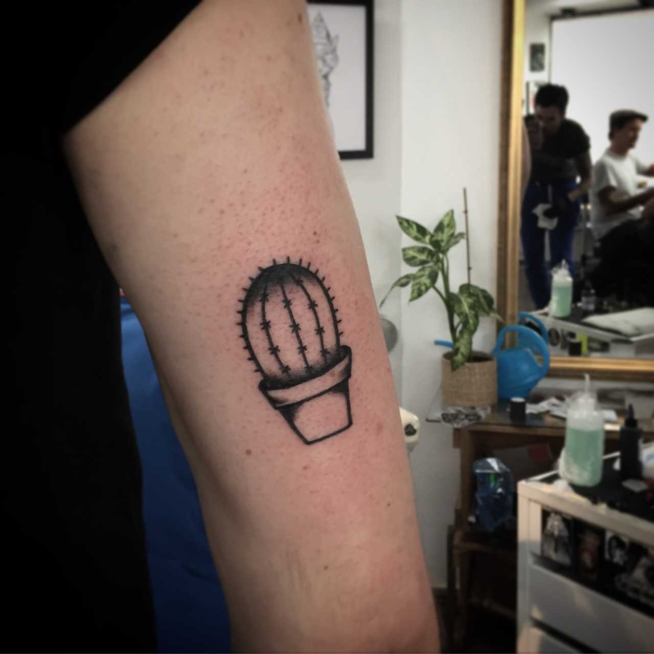 Small cacti on the arm