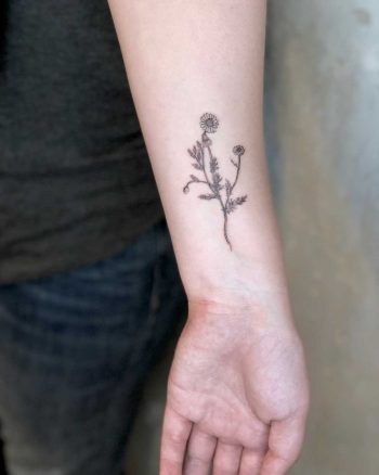 Small chamomile tattoo