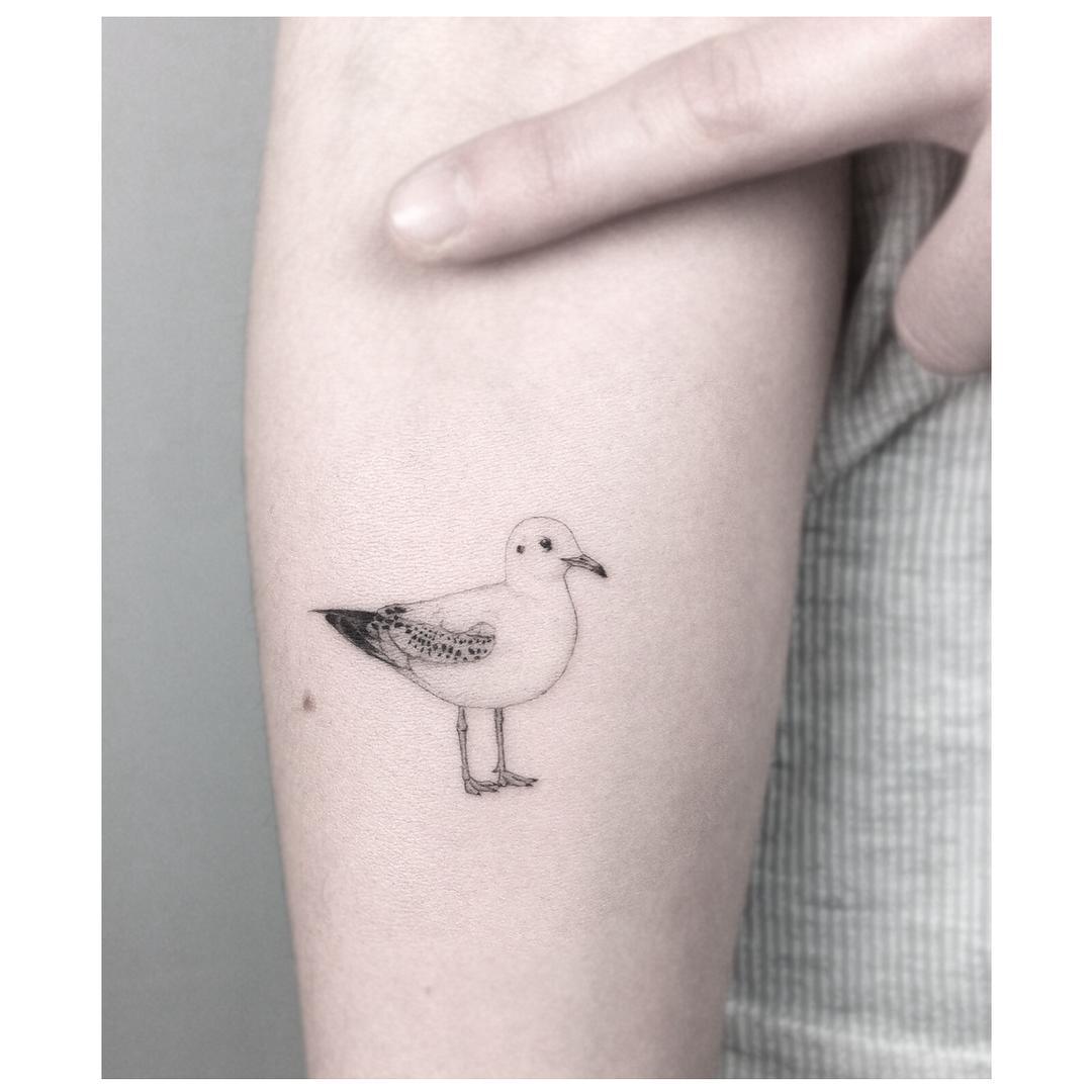 Small seagull tattoo by Jakub Nowicz - Tattoogrid.net