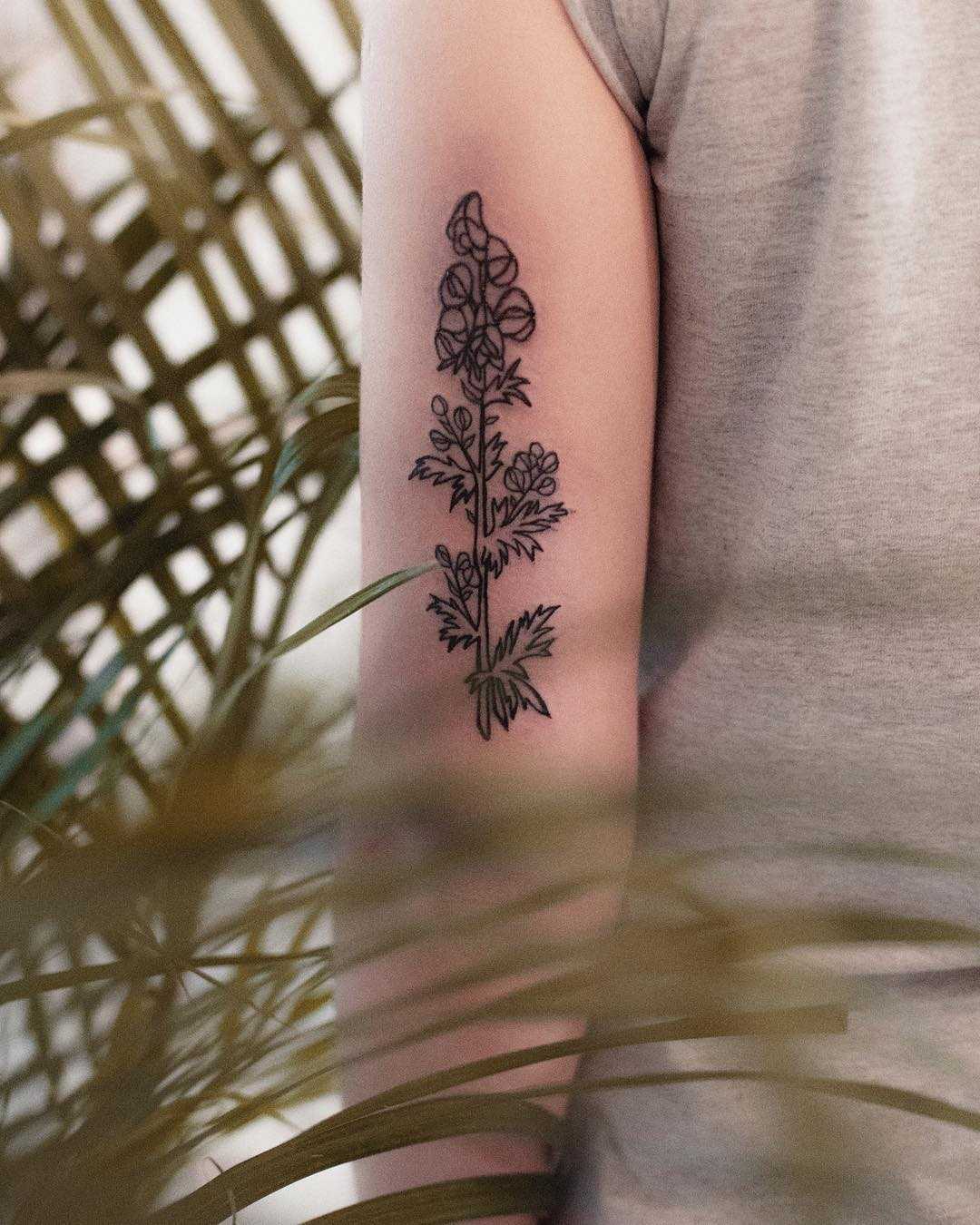 Aconitum napellus tattoo by Dżudi Bazgrole
