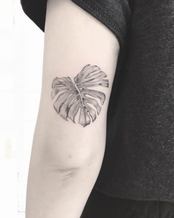 Black and grey Monstera leaf by Annelie Fransson
