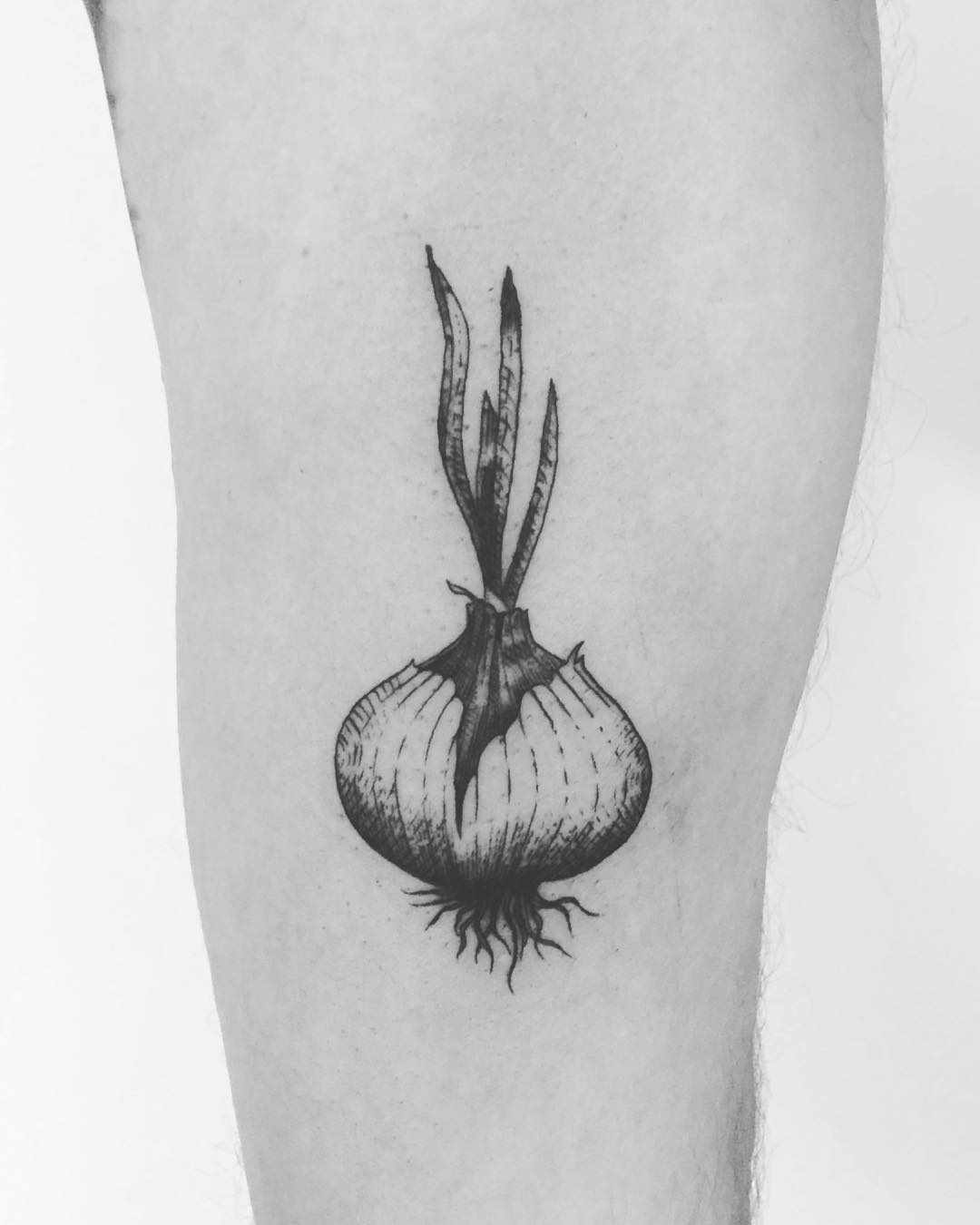 Black and grey onion tattoo by Annelie Fransson