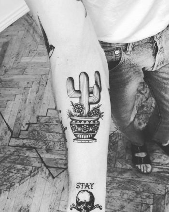 Cactus in a pot by Annelie Fransson