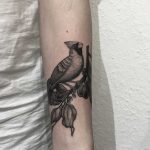 Cardinal bird by tattooist Spence @zz tattoo
