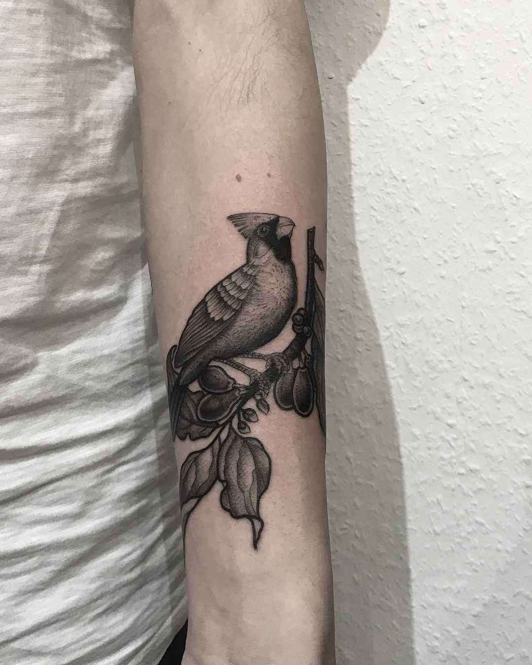 Cardinal bird by tattooist Spence @zz tattoo