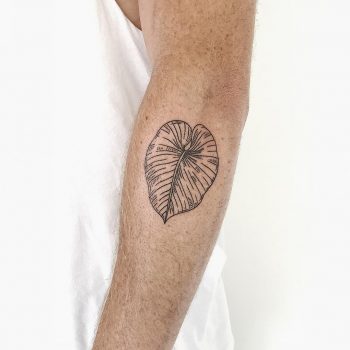 Delicate leaf tattoo by Sasha But.maybe