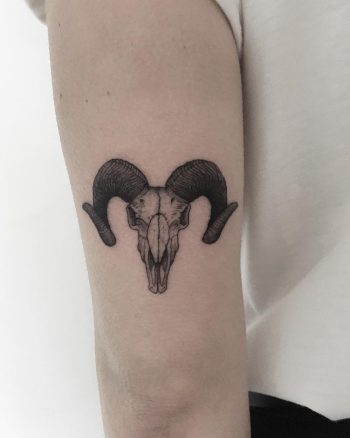Goat skull by tattooist Spence @zz tattoo