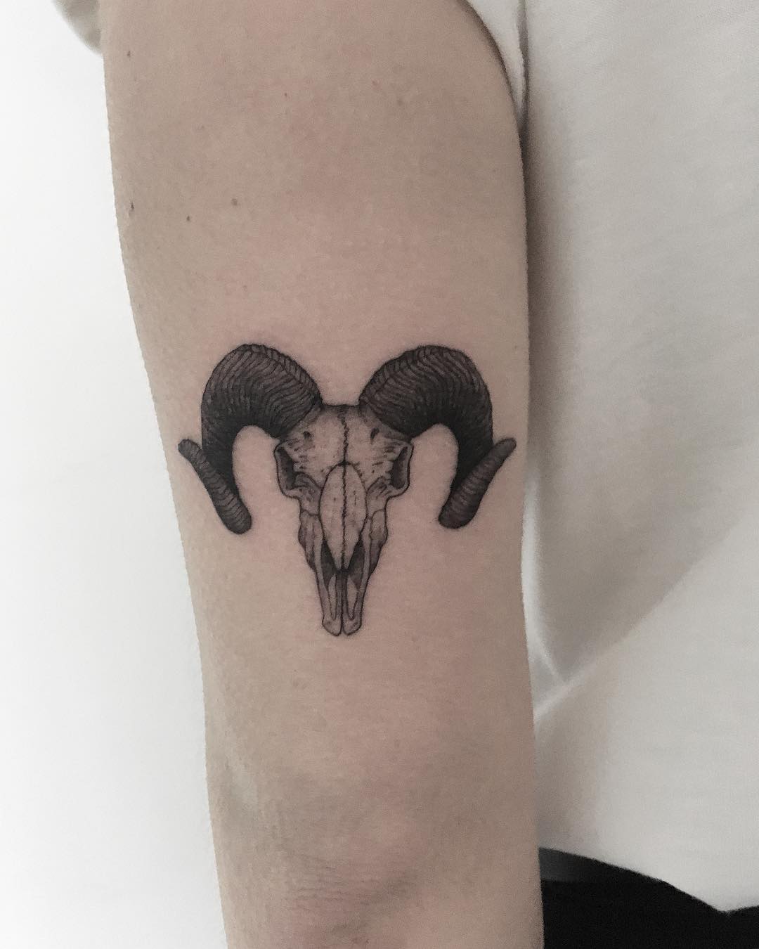 Goat skull by tattooist Spence @zz tattoo - Tattoogrid.net.