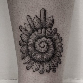 Haeckel shell tattoo by Oliver Whiting