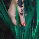 Intense black rose by Dżudi Bazgrole