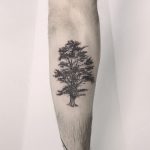 Lebanese cedar tree tattoo by Annelie Fransson