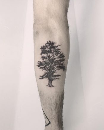 Lebanese cedar tree tattoo by Annelie Fransson