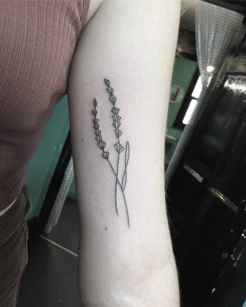 Little lavender tattoo by Kirk Budden