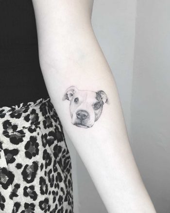 Lovely dog portrait tattoo by Annelie Fransson