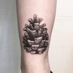 Pine cone by tattooist Spence @zz tattoo