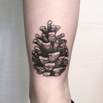 Pine cone by tattooist Spence @zz tattoo