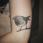 Robin tattoo by tattooist Spence @zz tattoo