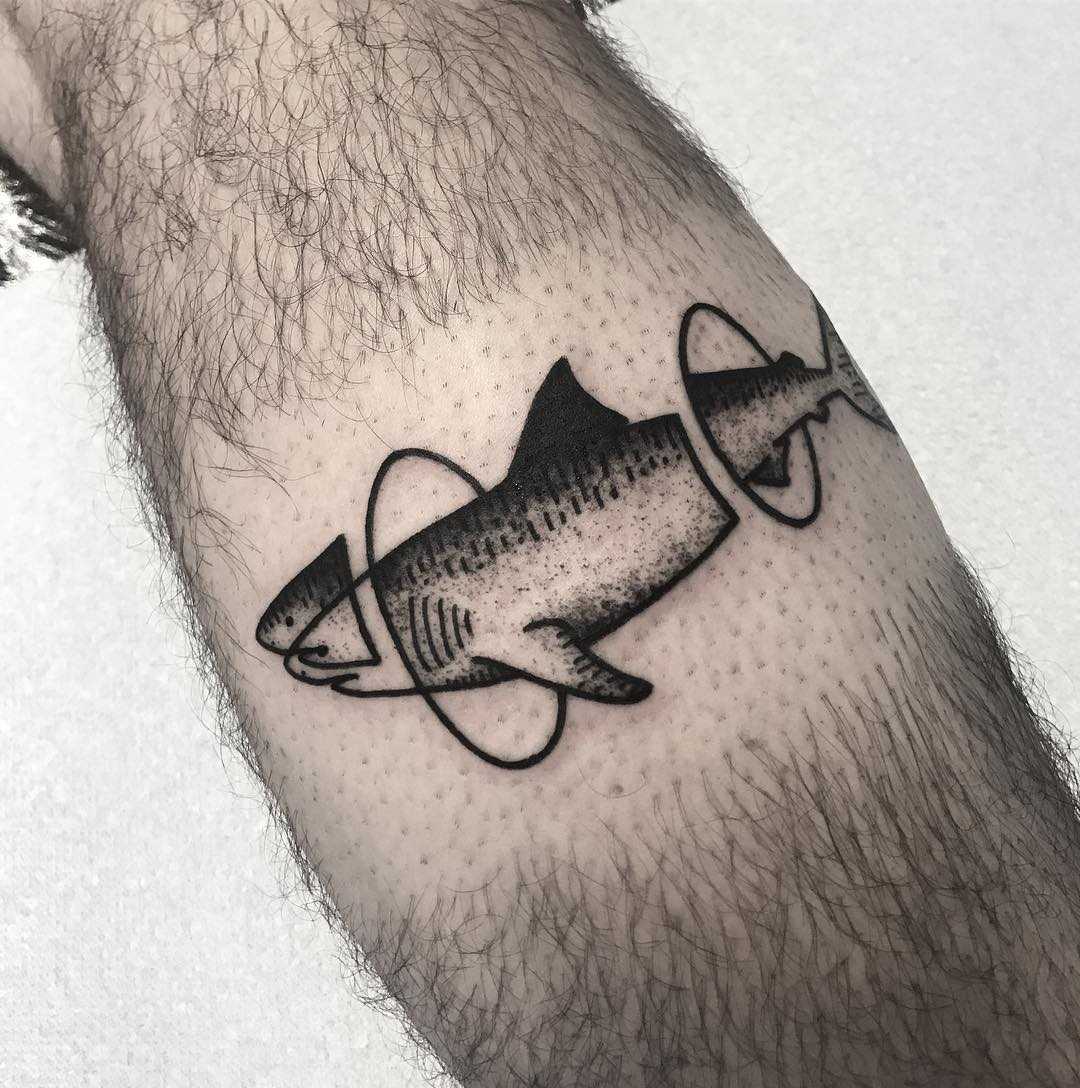 Shark by Wagner Basei