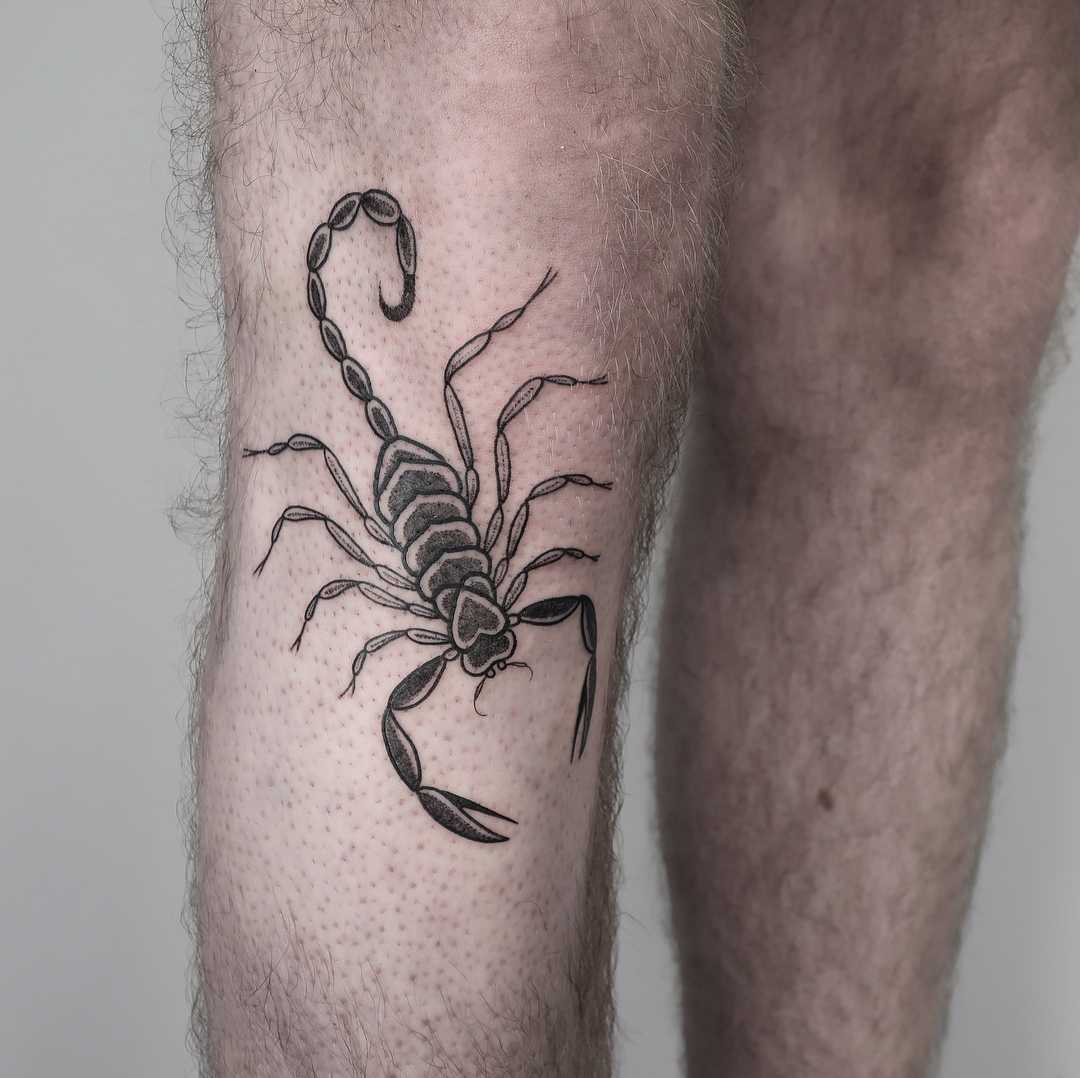 Cool scorpion on a shin by Julim Rosa