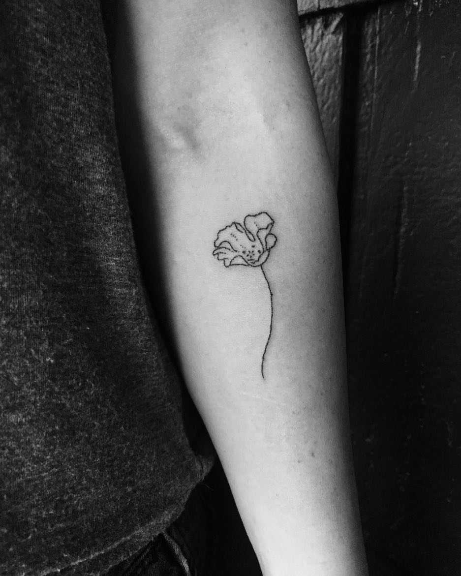 Delicate poppy tattoo by Robbie Ra Moore