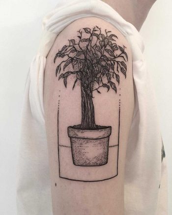 Ficus tattoo by tattooist Spence @zz tattoo