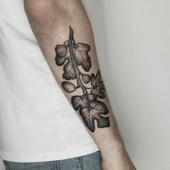Figbranch tattoo by tattooist Spence @zz tattoo