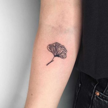 Little ginkgo leaf by Suki Lune