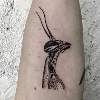 Mantis tattoo by Kevin Jenkins