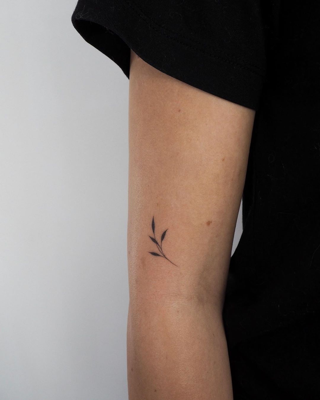 Micro branch tattoo by Lara Maju