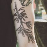 Pine branch by tattooist Spence @zz tattoo
