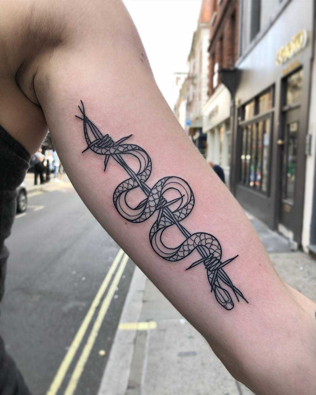 Snake on a barbed wire by Loz Thomas