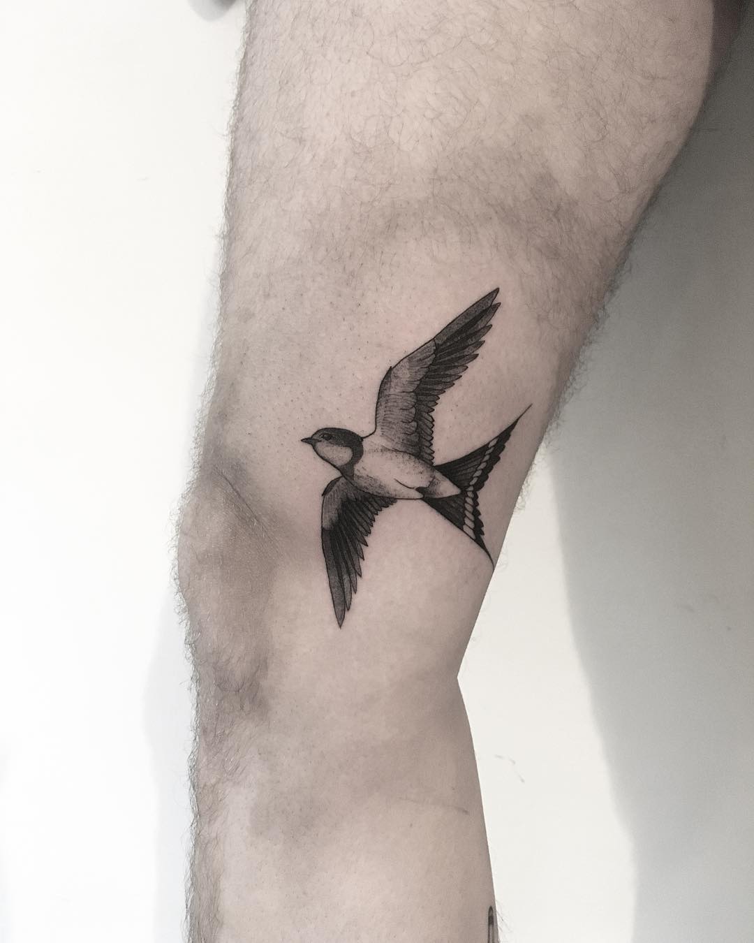 Swallow tattoo by tattooist Spence @zz tattoo
