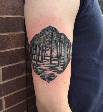 Through the trees by Tine DeFiore