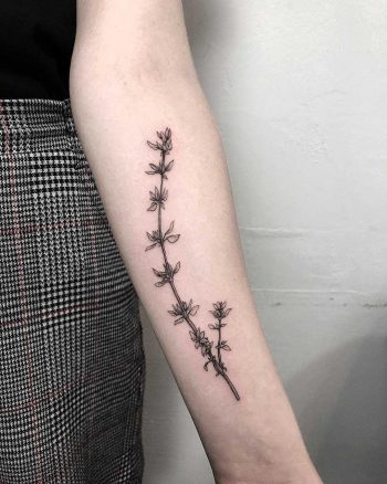 Thyme twig tattoo by tattooist Spence @zz tattoo