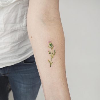 Tiny wildflower by anton1otattoo