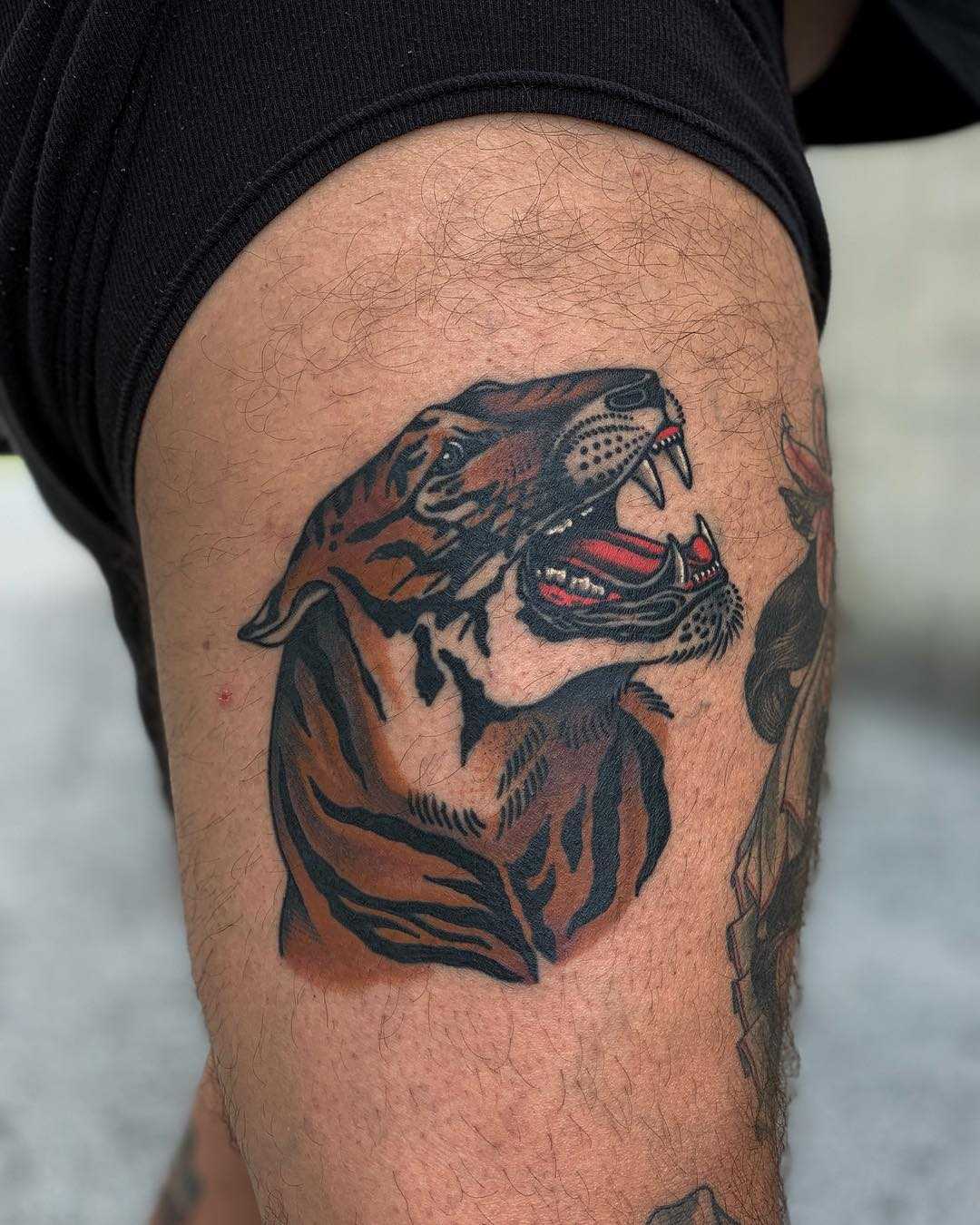 Traditional tiger tattoo by Javier Betancourt