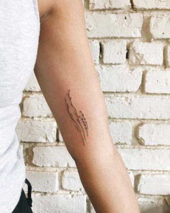 Baby herbs tattoo by Kelli Kikcio