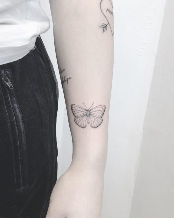 Black and grey butterfly by Annelie Fransson