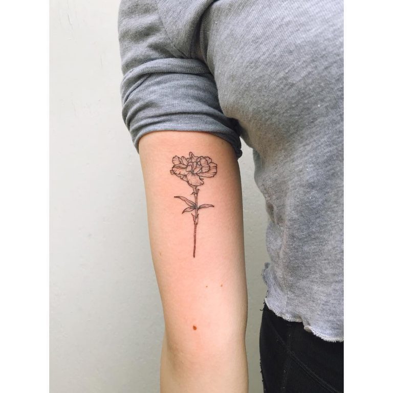 Wild carnation tattoo on the arm