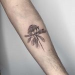 Fineline Waratah flower tattoo by Conz Thomas