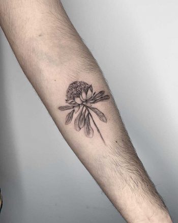 Fineline Waratah flower tattoo by Conz Thomas