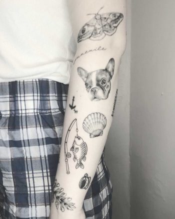 Fish, moth, dog, shell, and Frenchie by Annelie Fransson