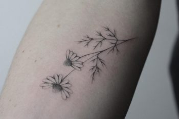 Hand-poked chamomile tattoo by Lara Maju