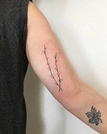 Hand-poked pussy willows by Kelli Kikcio