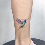 Hummingbird by Eden Kozo