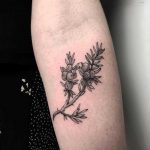 Juniper branch by tattooist Spence @zz tattoo