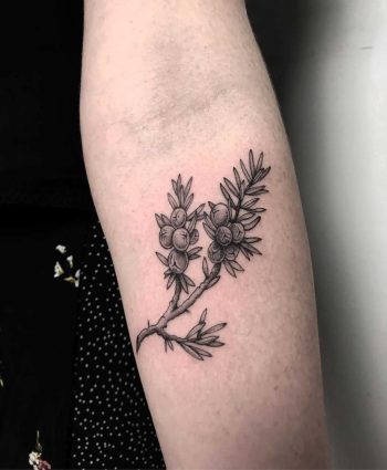 Juniper branch by tattooist Spence @zz tattoo